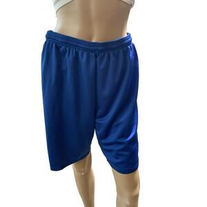 Champion Vintage 90s Blue Mesh Athletic Basketball Silky Shiny Shorts Size Small